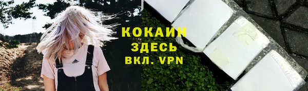 mix Гусев