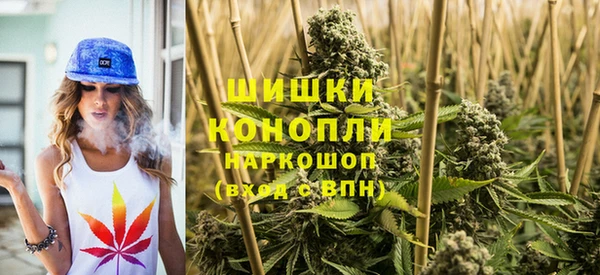 стаф Гусиноозёрск