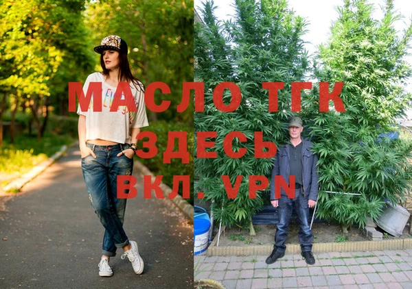 гашик Гусь-Хрустальный