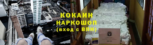 стафф Дмитров