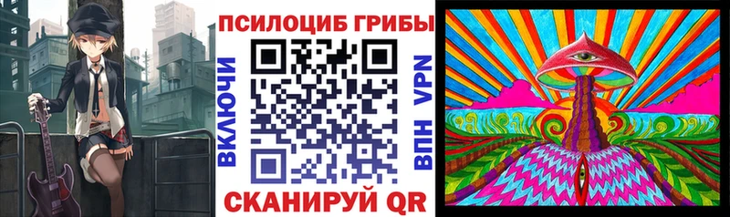 Псилоцибиновые грибы Cubensis  Купить  Североуральск 